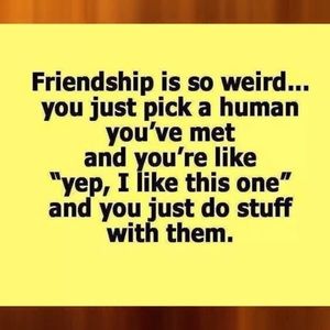 Meet your Posher, Melanie